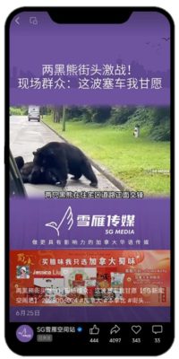 videoads-p1